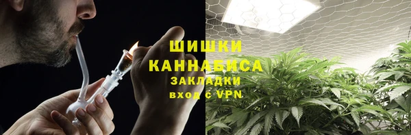 индика Балабаново