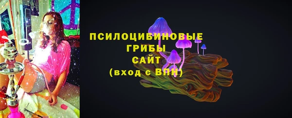 индика Балабаново