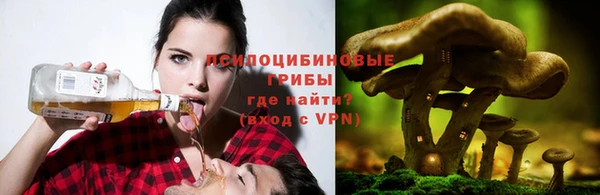 трава Баксан