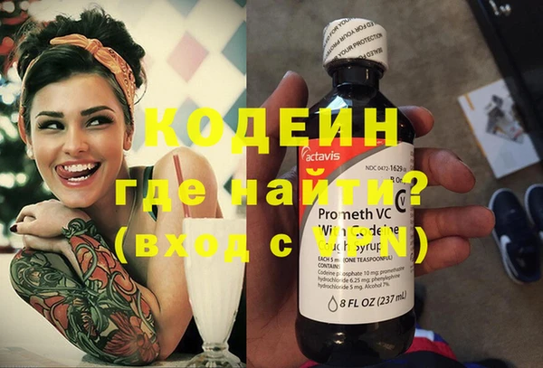 индика Балабаново