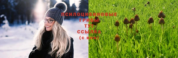 индика Балабаново