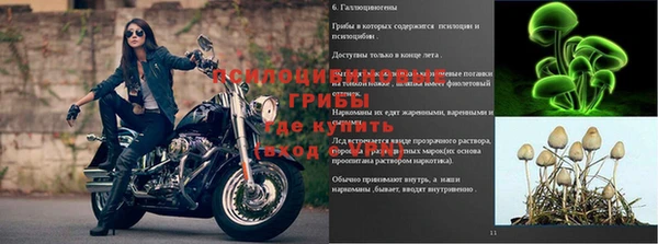 трава Баксан