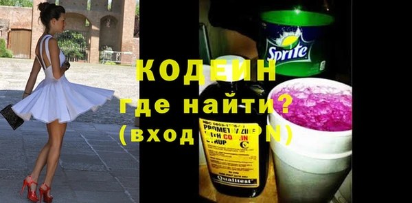 индика Балабаново